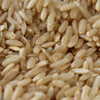 Brown Rice