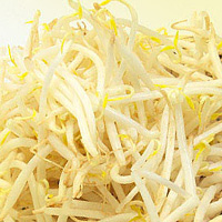 Soybean Sprouts