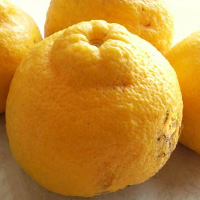 Sanbokan Sour Orange