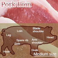 Medium-Sized Pork Loin