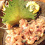 Aji-namerou