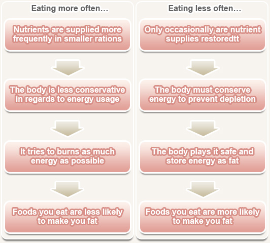 Diet Eat 5 Meals A Day Planner