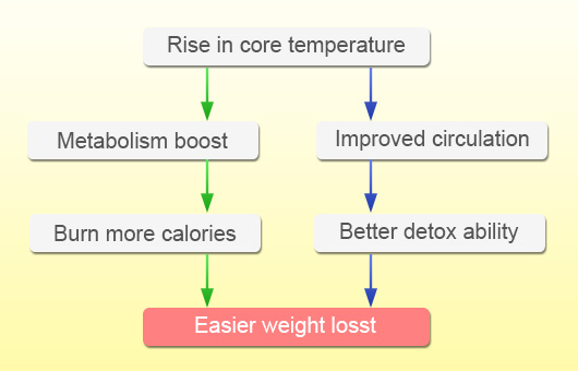 Dry Ginger Benefits For Weight Loss