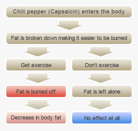 Cayenne Pepper Benefits Fat Burning