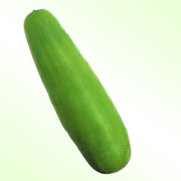 Melon Cucumber
