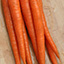 Red Carrots