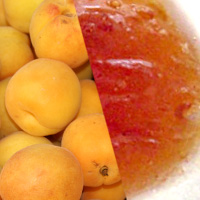 Apricot Jam Lightly Sweetened