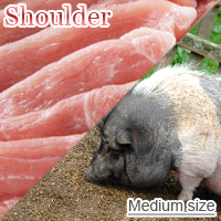 Medium-Sized Pork Shoulder