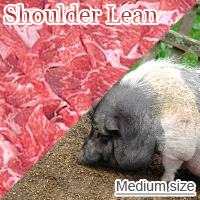 Medium-Sized Pork Shoulder Lean