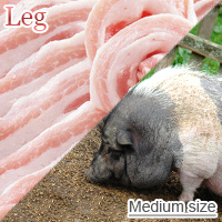 Medium-Sized Pork Leg