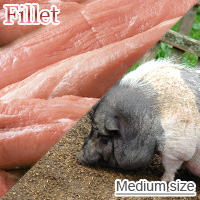 Medium-Sized Pork Fillet
