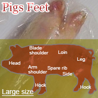 Pigs Feet