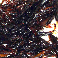 Locust Tsukudani