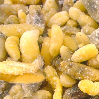 Bee Larvae