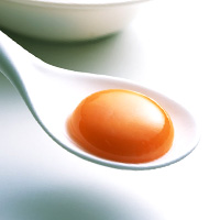 Egg Yolk