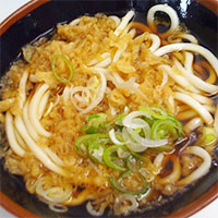 Tanuki Udon Noodle Soup