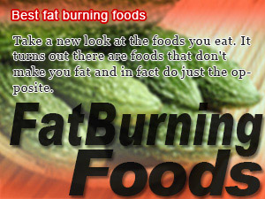 Best fat burning foods
