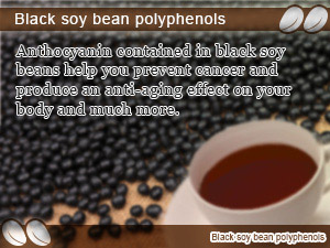 Black soy bean polyphenols