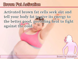 Brown Fat Activation