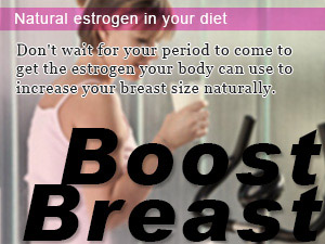 Natural estrogen in your diet