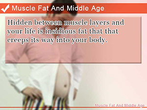 Muscle Fat And Middle Age