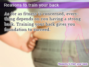 Reasons to train your back