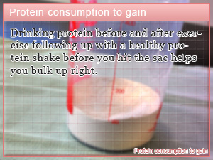 Protein consumption to gain