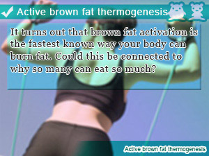 Active brown fat thermogenesis