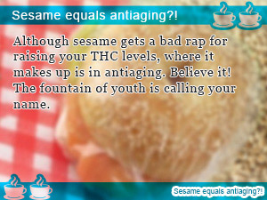 Sesame equals antiaging?!
