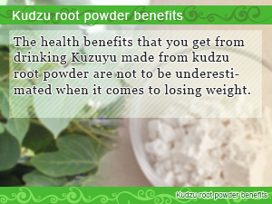 Kudzu root powder benefits