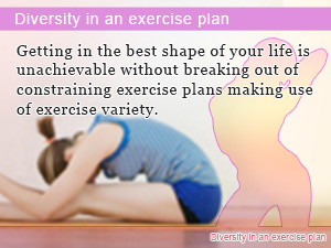 Diversity in an exercise plan
