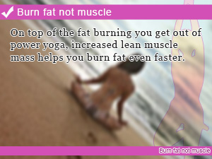 Burn fat not muscle