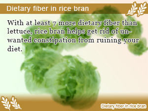 Dietary fiber in rice bran