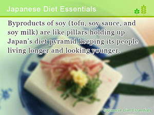 Japanese Diet Essentials