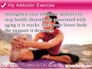 Hip Adductor Exercise