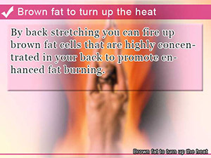 Brown fat to turn up the heat