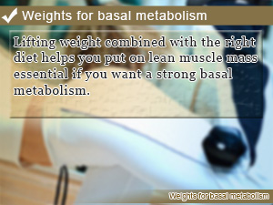 Weights for basal metabolism