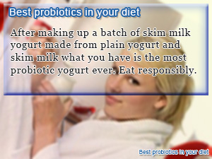 Best probiotics in your diet