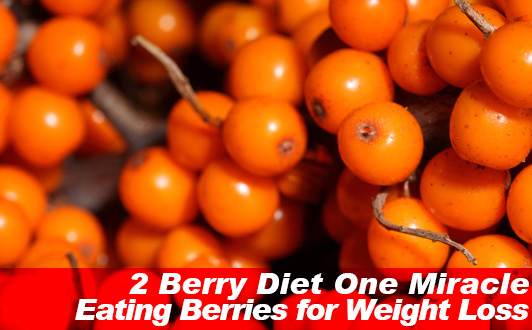2 Berry Diet One Miracle: Eating Berries for Weight Loss