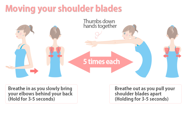 moving your shoulder blades