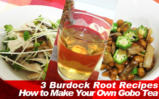 Burdock Root and Burdock Root dishes