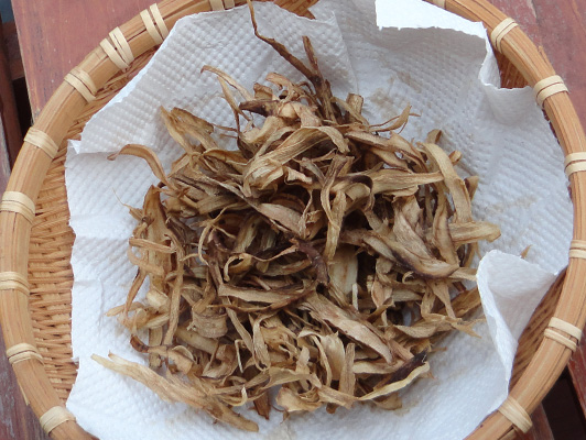 fully dried burdock