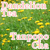 Dandelion Tea Tanpopo-Cha