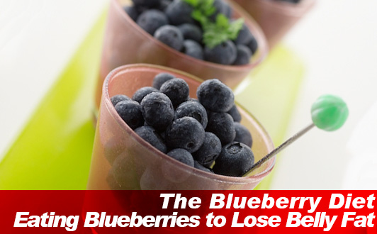 The Blueberry Diet: Eating Blueberries to Lose Belly Fat