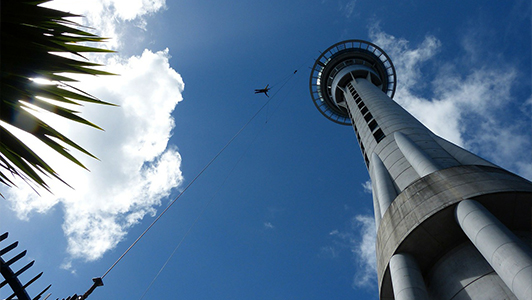 A persong bungee jumping from a tower