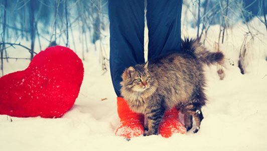 woman cat and heart in winter