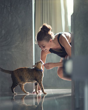 cat greeting owner at door