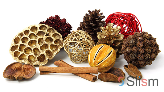 decorative pine cones