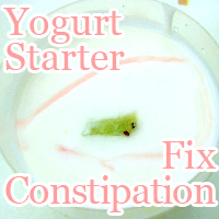 fix constipation yogurt starter