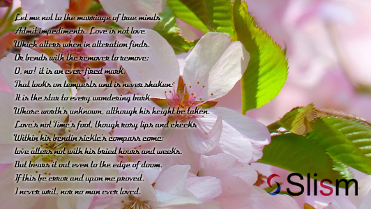 Cherry flowers with a poem over it